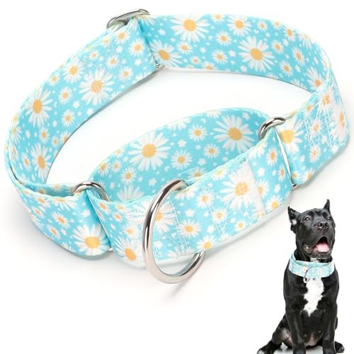 Martingale-Hundehalsband, strapazierfähig, verstellbar, mit blauem Gänseblümchen-Design, Militärqualität, starkes Hundehalsband für große und mittelgroße Rassen, Größe XL, 3,8 cm breit von ONEFOJOJO