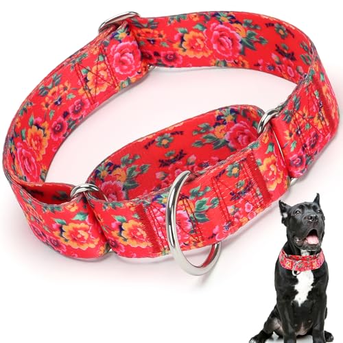 Martingale-Halsband für Hunde, 3,8 cm, langlebig, kein Ziehen, für mittelgroße und große Rassen, Größe M, Rot von ONEFOJOJO