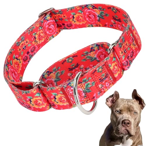 Martingale-Halsband für Hunde, 3,8 cm, langlebig, kein Ziehen, für mittelgroße und große Rassen (L) von ONEFOJOJO