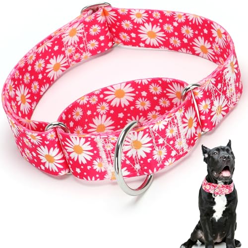 Martingale-Halsband für Hunde, 3,8 cm, verstellbar, groß, breit, strapazierfähig, Größe L von ONEFOJOJO