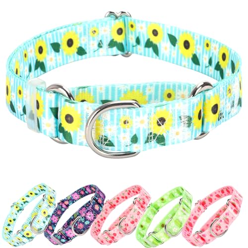 Martingale-Halsband für Hunde, verstellbar, weiches Nylon, mit speziellem Design, Sonnenblumenmuster für kleine, mittelgroße und große Hunde (Sonnenblume, Größe M von ONEFOJOJO