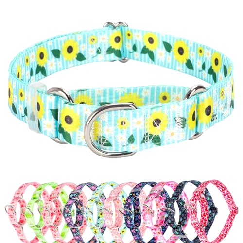 Martingale-Halsband für Hunde, verstellbar, weiches Nylon, mit speziellem Design, Sonnenblumenmuster für kleine, mittelgroße und große Hunde (Sonnenblume, Größe S von ONEFOJOJO