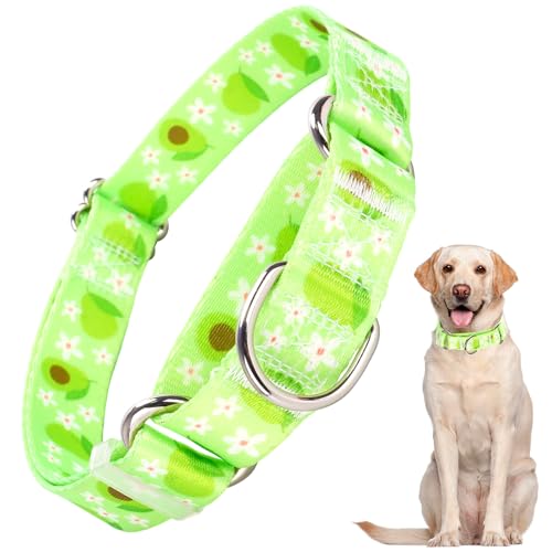 Martingale-Hundehalsband für Hunde, hochwertiges rutschfestes Halsband, verstellbares Martingal-Halsband für kleine, mittelgroße und große Hunde, Mädchen, Hunde, Jungen, Hunde (Avocado, M) von ONEFOJOJO