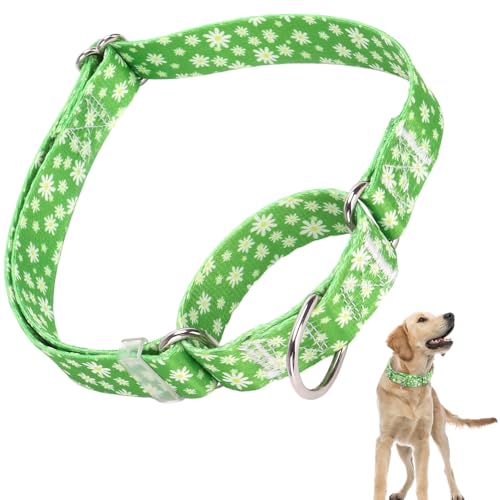 Martingale Hundehalsband mit Schnellverschluss, Trainingshalsbänder für kleine, mittelgroße und große Hunde (Grün, M) von ONEFOJOJO