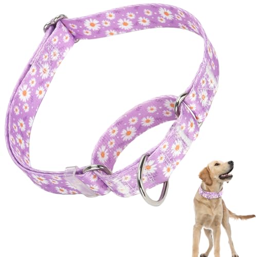 Martingale Hundehalsband mit Schnellverschluss, Trainingshalsband für kleine, mittelgroße und große Hunde (lila Gänseblümchen, S) von ONEFOJOJO