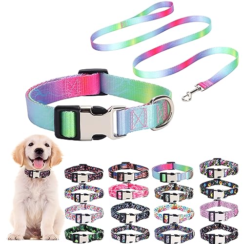 Niedliches Hundehalsband und Leine, Halsbänder mit Regenbogenmuster, verstellbar, weiches Nylon, für XS, kleine, mittelgroße und große Hunde, Katzen, Haustierhalsband für Hunde, Mädchen, Jungen, von ONEFOJOJO