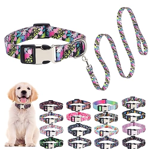 Niedliches Hundehalsband und Leine, Set mit bunten Leopardenmustern, Hundehalsbänder für XS, S, M, L, weiches Nylon, für Hunde, Mädchen, Jungen, Welpen, Spazierengehen, Laufen, Training (Bunter von ONEFOJOJO