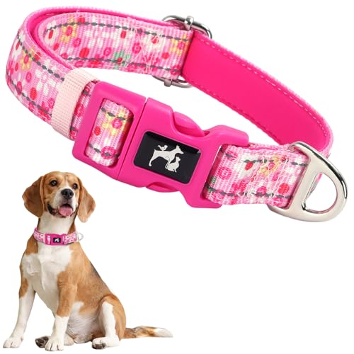 ONEFOJOJO Hundehalsband für Mädchen, reflektierend, rosa Blume, Hundehalsband für mittelgroße und extra große Hündinnen (Blume, Größe L von ONEFOJOJO