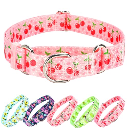 ONEFOJOJO Martingale-Halsband für Hunde, niedliches rosa Kirsche, verstellbares Martingal-Halsband für kleine, mittelgroße und große Hunde, Mädchen, Hunde, Jungen, Hunde (L) von ONEFOJOJO