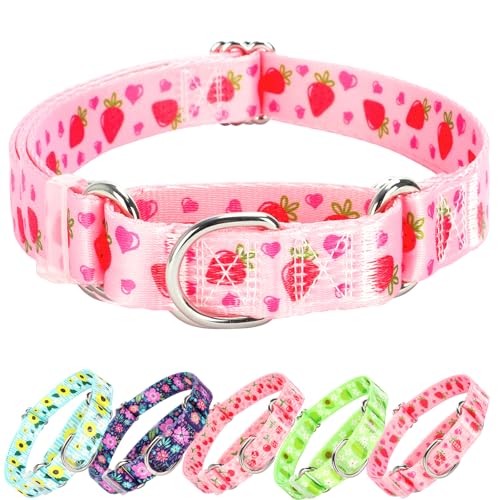 ONEFOJOJO Martingale-Halsband für Hunde mit rosa Erdbeeren, niedliches, verstellbares Martingal-Halsband für kleine, mittelgroße und große Hunde, Mädchen, Hunde, Jungen, Hunde (L) von ONEFOJOJO