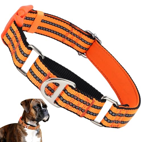 ONEFOJOJO Martingale Hundehalsbänder für Hunde, reflektierendes Nylon-Hundehalsband mit Schnellverschluss-Schnalle, verstellbar, Training, Walking, Jagd, rutschfest, Größe M, Orange von ONEFOJOJO