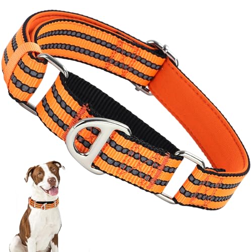 ONEFOJOJO Martingale Hundehalsbänder für Hunde, reflektierendes Nylon-Hundehalsband ohne Schnalle, verstellbar, Training, Walking, Jagd, rutschfest, Größe M, Orange von ONEFOJOJO