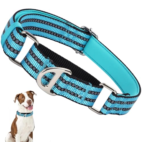 ONEFOJOJO Martingale Hundehalsbänder für Hunde, reflektierendes Nylon-Hundehalsband ohne Schnalle, verstellbar, Training, Walking, Jagd, rutschfestes Hundehalsband (klein, blau) von ONEFOJOJO