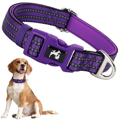 ONEFOJOJO Reflektierendes Hundehalsband, weiches Neopren, atmungsaktiv, Schnellverschluss, für mittelgroße und extra große Hunde (Lila, XL) von ONEFOJOJO