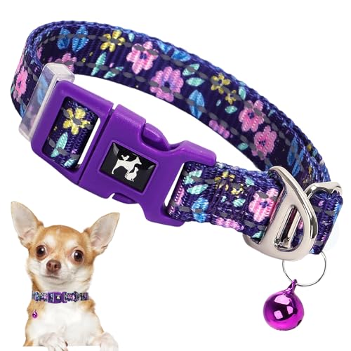 Reflektierendes Hundehalsband mit Glöckchen, Größe XS, für Welpen, Katzen, Mädchen, Kätzchen, kleine Rassen, niedliches, verstellbares Nylon-Halsband für Yorkie, Chihuahua, Nachtspaziergänge (XS) von ONEFOJOJO