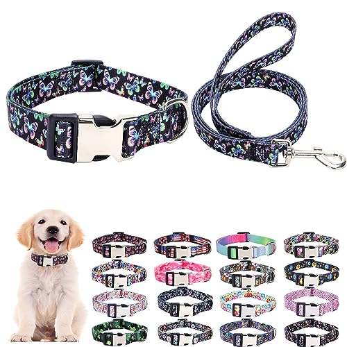 Welpenhalsband und Leine, Set für den täglichen Spaziergang im Freien, Laufen, Training, Design für extra kleine Jungen, Mädchen, Hunde, Katzen, Haustiere, (Luminöser Schmetterling, L) von ONEFOJOJO