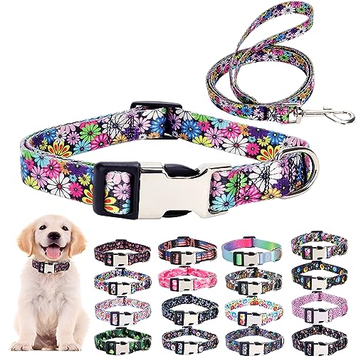 Welpenhalsband und Leine, Set für den täglichen Spaziergang im Freien, Laufen, Training, Design für extra kleine Jungen, Mädchen, Hunde, Katzen, Haustiere, bunte Gänseblümchen, Größe L von ONEFOJOJO