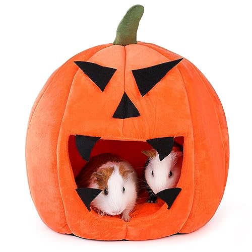 ONEJU Meerschweinchen Bett, Meerschweinchen Versteck, Kaninchen Bett, Meerschweinchenhaus, Halloween Stil Meerschweinchenbett für Meerschweinchen, Chinchilla, Frettchen und Kaninchen, Halloween Kürbis von ONEJU