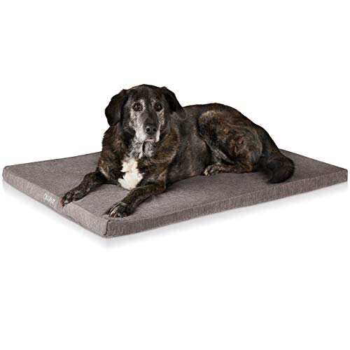 ONVAYA® Hundekissen aus Memory Foam | orthopädisch | 95 Grad waschbar | grau | Größe S-XXL | Hundebett | Hundematratze | Hundematte | Liegekissen (M (78 x 55 x 5 cm)) von ONVAYA