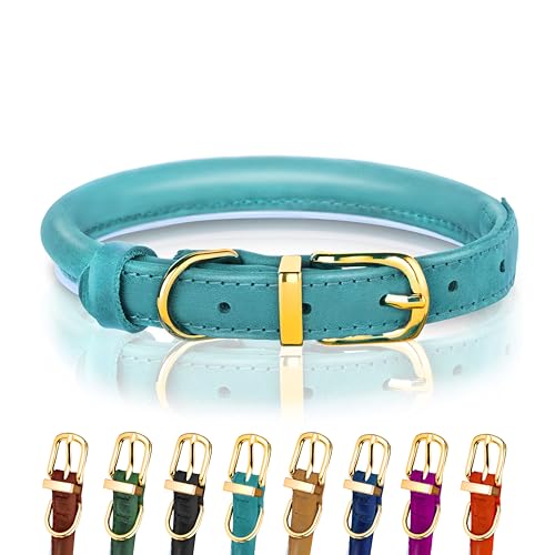 Hundehalsband aus gerolltem Leder - Leder Welpenhalsbänder für kleine Hunde Katzen - Runde Hundehalsbänder für mittelgroße Hunde - Weich Gepolstert (18-23cm, Hellblau) von OOPSDOGGY