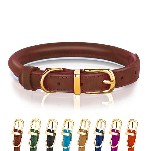 Hundehalsband aus gerolltem Leder - Leder Welpenhalsbänder für kleine Hunde Katzen - Runde Hundehalsbänder für mittelgroße Hunde - Weich Gepolstert (20-28cm, Braun) von OOPSDOGGY