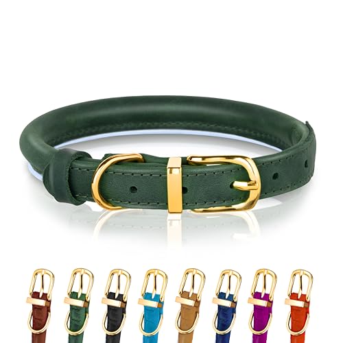 Hundehalsband aus gerolltem Leder - Leder Welpenhalsbänder für kleine Hunde Katzen - Runde Hundehalsbänder für mittelgroße Hunde - Weich Gepolstert (20-28cm, Grün) von OOPSDOGGY