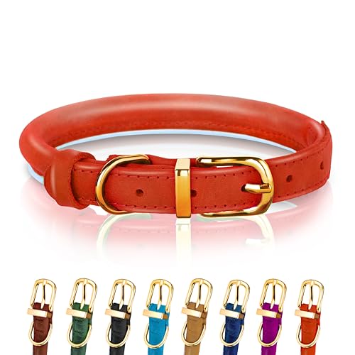 Hundehalsband aus gerolltem Leder - Leder Welpenhalsbänder für kleine Hunde Katzen - Runde Hundehalsbänder für mittelgroße Hunde - Weich Gepolstert (20-28cm, Rot) von OOPSDOGGY