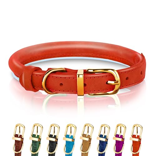 Hundehalsband aus gerolltem Leder - Leder Welpenhalsbänder für kleine Hunde Katzen - Runde Hundehalsbänder für mittelgroße Hunde - Weich Gepolstert (43-53cm, Rot) von OOPSDOGGY