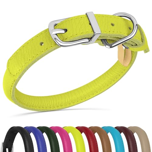 OOPSDOGGY Hundehalsband aus gerolltem Leder, weich, für kleine, mittelgroße und große Hunde, Welpen, Limettengrün, Größe L, 35,6 - 45,7 cm von OOPSDOGGY