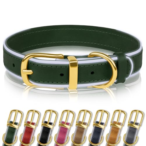 OOPSDOGGY Reflective Genuine Leather Dog Collars Soft Padded Collars for Small Medium Large Puppy 4 Sizes 8 Colors (Grün, 38,1-48,3 cm) von OOPSDOGGY