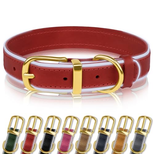OOPSDOGGY Reflective Genuine Leather Dog Collars Soft Padded Collars for Small Medium Large Puppy 4 Sizes 8 Colors (Rot, 38,1-48,3 cm) von OOPSDOGGY