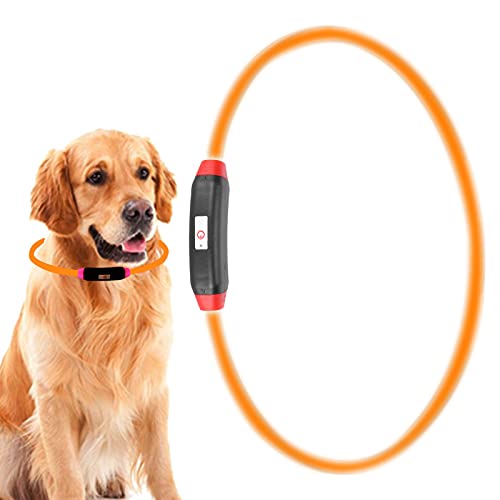 Leuchtendes Hundehalsband, Leuchtendes Haustierhalsband für Mittelgroße und Kleine Hunde, LED-Hundehalsband, Im Dunkeln Leuchtendes Hundehalsband, Wiederaufladbares (gelbes Licht) von OPPWONG