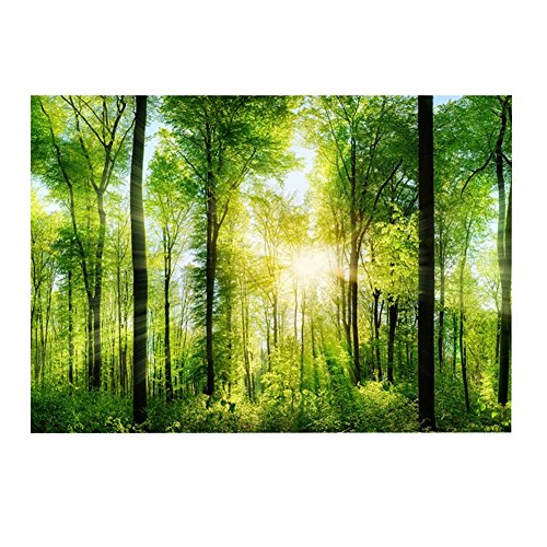 OPPWONG 3D Aquarium Hintergrund, 3D -Effekt -Klebstoff -Wald -Plakat Terrarium Hintergrund Aquariumdekor Polyester Aquarium Hintergrundbild für Aquarium Fischbox Dekoration (122 * 46cm) von OPPWONG