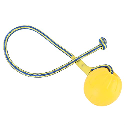 OPPWONG Doggie Disc Ball für Kleine Hunde, Übungs- und Belohnungsgerät, Ball Am Seil, Hundespielzeug, Tether Tug, Outdoor-Hundespielzeug, Seil und Ball, Hundespielzeug für Hundetraining, von OPPWONG