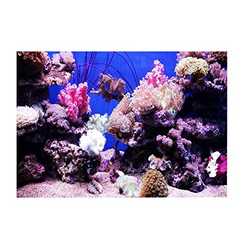 OPPWONG Terrariumhintergrund, 3D -Effekt -Kleben Korallenseeworld Poster 3D Aquarium Hintergrund Aquarium Dekor PVC -Klebstoff -Poster für Aquarium Fischbox Dekoration (122 * 46cm) von OPPWONG