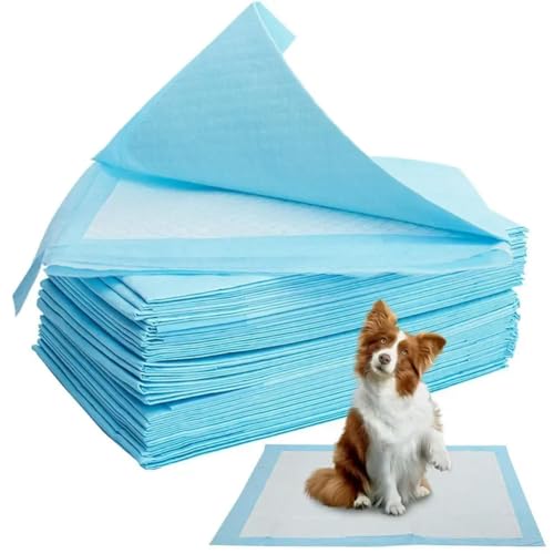 10 Teile/los Saugfähige Haustier Windel Hund Training Pee Pads Einweg Urin Windel Matte Für Katzen Hund Windeln Käfig Matte Pet liefert von OPica