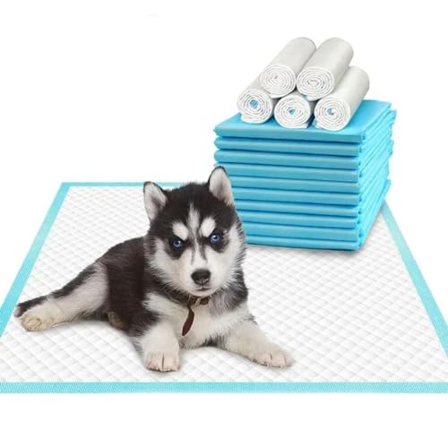 120Pcs Saugfähige Haustier Windel Hund Training Pee Pads Einweg Windel Matte Für Katzen Hund Windeln Quick-Dry Matte von OPica