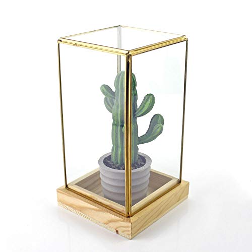 OQHAIR Pflanzenbehälter, kreative Retro-geometrische Terrarium-Vitrine, Sukkulenten-Moos-Farn-Pflanzen-Terrarium-Display für Hochzeits-Couchtisch (Farbe: Schwarz, Größe: 10 x 10 x 20 cm) von OQHAIR