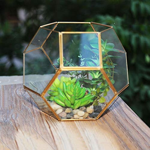 OQHAIR Pflanzenbehälter, moderner sechseckiger geometrischer Terrarium aus klarem Glas, schräger geometrischer Pflanzenbehälter für Zuhause und Hochzeit im Innenbereich (Farbe: Messing, G von OQHAIR