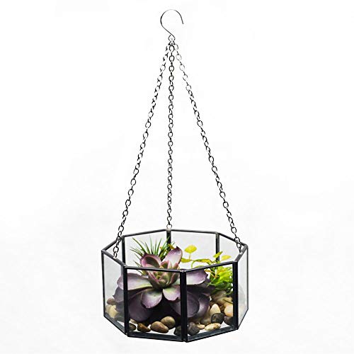 OQHAIR Terrarien, moderner Wandbehang aus Glas, geometrisches Terrarium, Tischplatte, Sukkulenten-Luftpflanzenhalter, Hochzeit, Gang, Sockel, Dekoration, Pflanzgefäße für den Innenbereich von OQHAIR