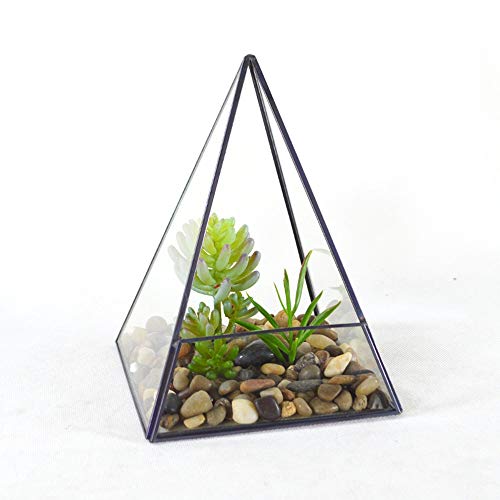 Terrarien Pyramide, vertikales Metallglas, geometrisches Terrarium für Zuhause und Hochzeit, Innen-/Innen-Pflanzgefäße, Behälter für Pflanzen (Farbe: transparent, Größe: 14 x 14 x von OQHAIR