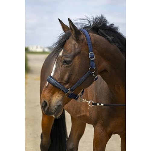 OR S-LINE EQUITHÈME Nylon Strass Soft Glitzer Halfter für Pony (Navy, Pony) von OR S-LINE