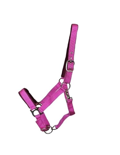 OR S-LINE Halfter Soft-Basic weich unterlegtes Weidenhalfter für Pferde verstellbar, Cob, Pony verfügbar (Pink, Cob) von OR S-LINE