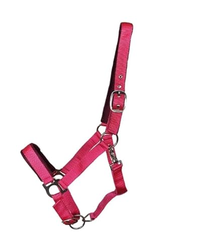 OR S-LINE Halfter Soft-Basic weich unterlegtes Weidenhalfter für Pferde verstellbar, Cob, Pony verfügbar (Rot, Cob) von OR S-LINE