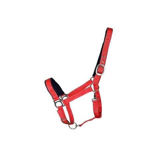 OR S-LINE Halfter Soft-Basic weich unterlegtes Weidenhalfter für Pferde verstellbar, Cob, Pony verfügbar (rot, Full/WB) von OR S-LINE