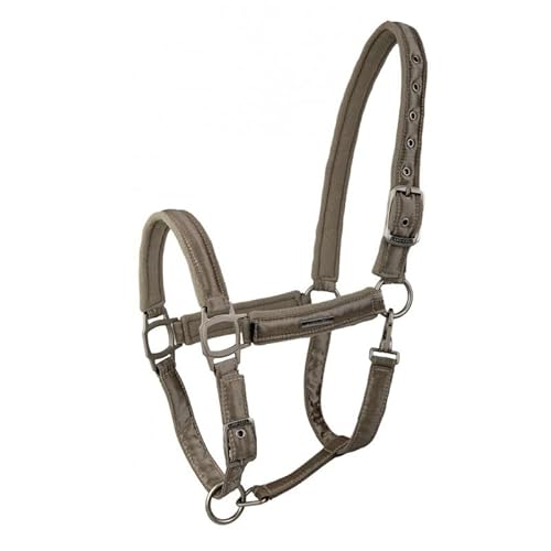 OR S-LINE LAMI-Cell Kollektion Aurora Satin Halfter für Pferde, Warmblut, Full (Champagner, Warmblut) von OR S-LINE