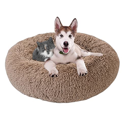 Beruhigendes Hundebett, waschbar, Donut-Haustierbett für Katzen, rundes Haustierkissen, Welpensofa, Hundebetten für den Innenbereich, rutschfest, für Welpen, Kätzchen, Kuschelbett, 120 cm, Khaki von OREAMY