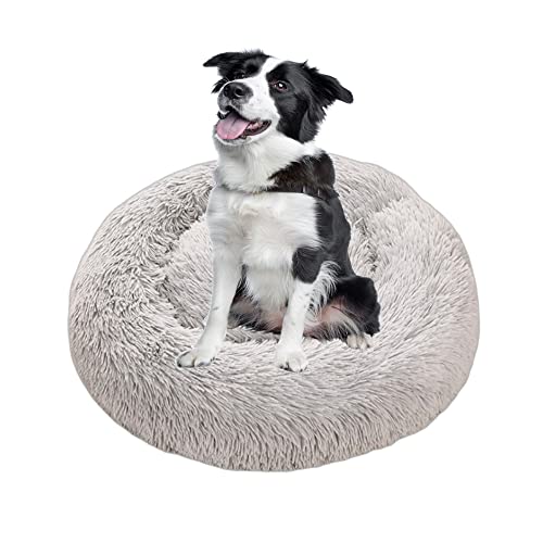 Große Hundebetten 70 90 120 140 160 cm Angst Donut Hundebett Matratze Katzenbett Weiches Warm Plüsch Haustier Kissen Flauschiges Haustier Betten für mittelgroße große Hunde, XXL-160 x 160 x 20 cm, von OREAMY