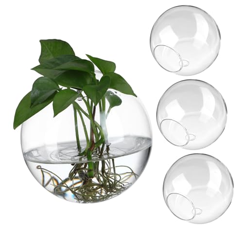 4 Stück Glasvase Wand Tischdekorationsvase Terrarienpflanzenhalter Vermehrung Terrarium bürodeko büro Dekoration stieltopf Halter für Wasserpflanzen Pflanzgefäße aus Glas ORFOFE von ORFOFE