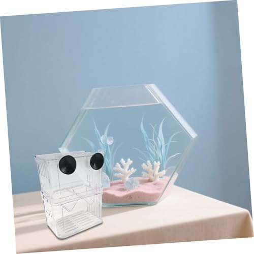ORFOFE 4 Stück Aquarium Fischeier Inkubator Fisch Inkubator Clownfisch Aufzuchtbecken Aquarium Fischbrut Isolationsbecher Aggressive Fisch Trennwand Transparent ORFOFE 4 Stück Aquarium Fischeier Inkubator Fisch Inkubator Clownfisch Aufzuchtbecken Aquarium Fischbrut Isolationsbecher Aggressive Fisch Trennwand Transparent von ORFOFE